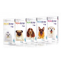 Bravecto 500 mg tableta pre stredne veľké psy (10 - 20 kg)