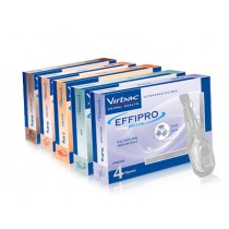 EFFIPRO DUO M 134 mg/ 40 mg spot-on psy 10-20 kg 4 x 1,34 ml