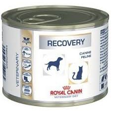 Royal Canin Recovery konz. 195 g
